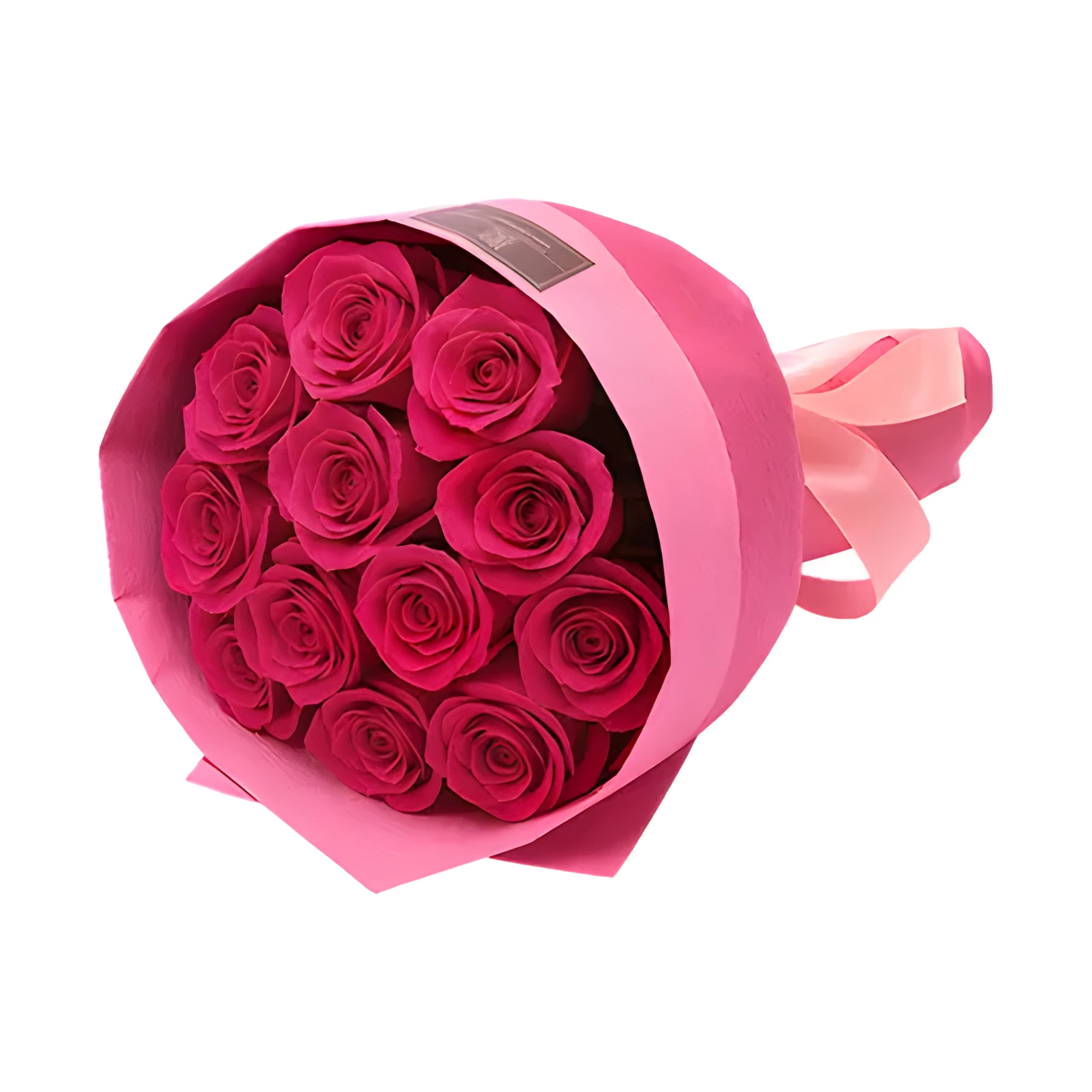 Enchanting Blush Rose Delight