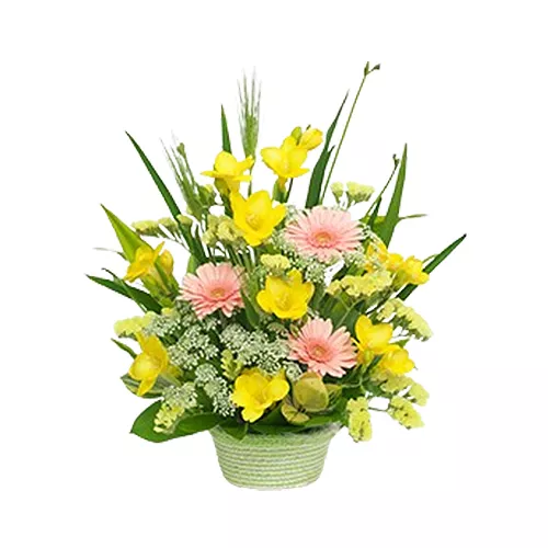 Fresh Floral Harmony