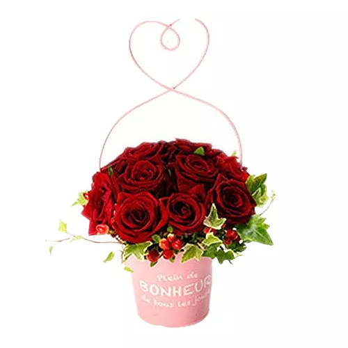 Scarlet Roses In Pot