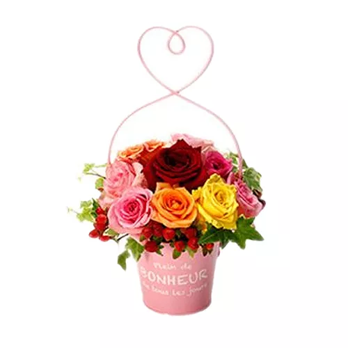 Vibrant Mix Rose Pot Display