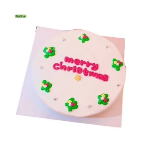 Bright Christmas Fruity Festive Cake