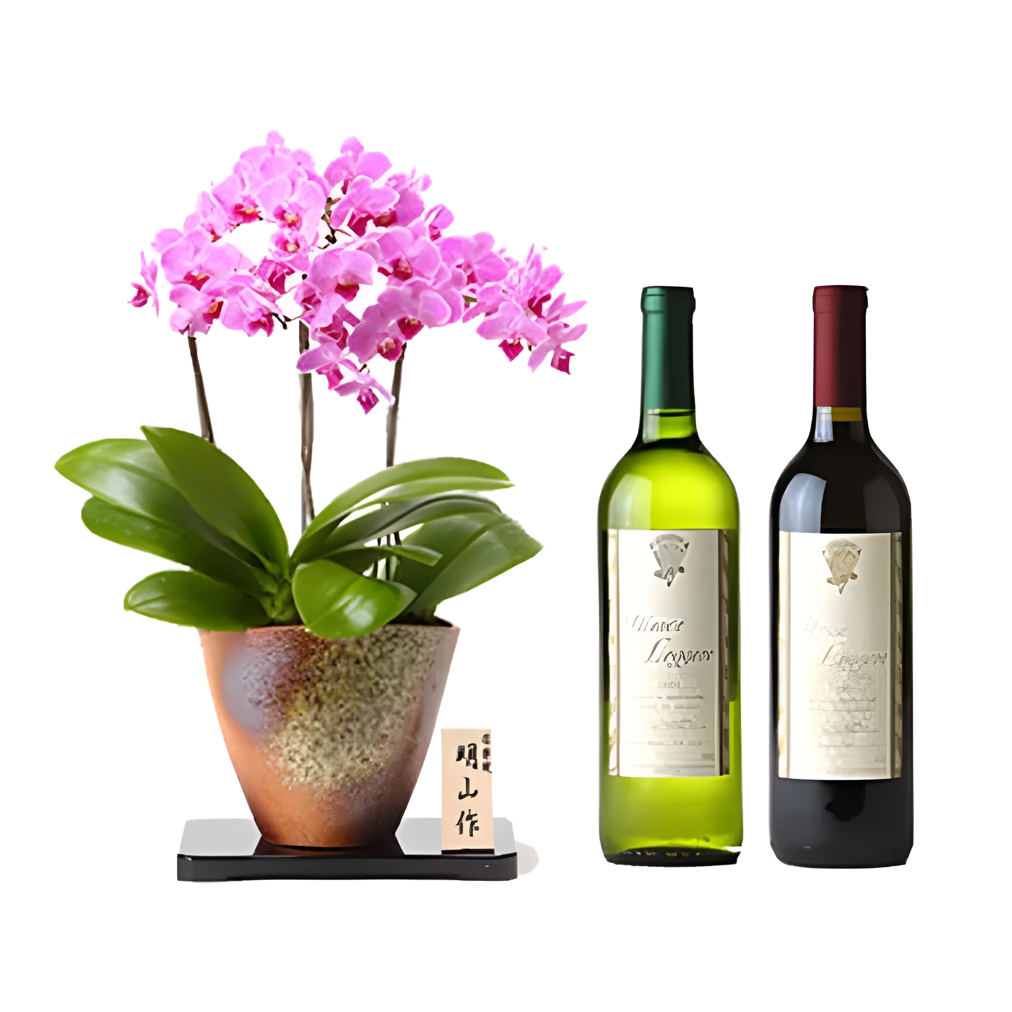 Orchid Delight with Fine Wine