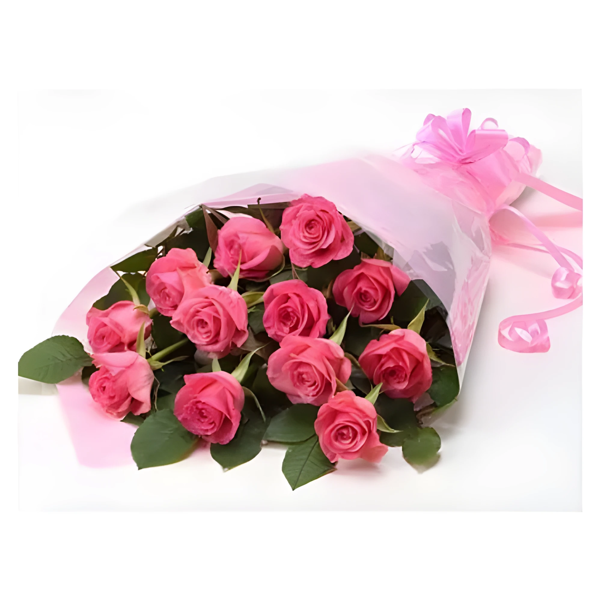 Elegant Blooming Rose Set